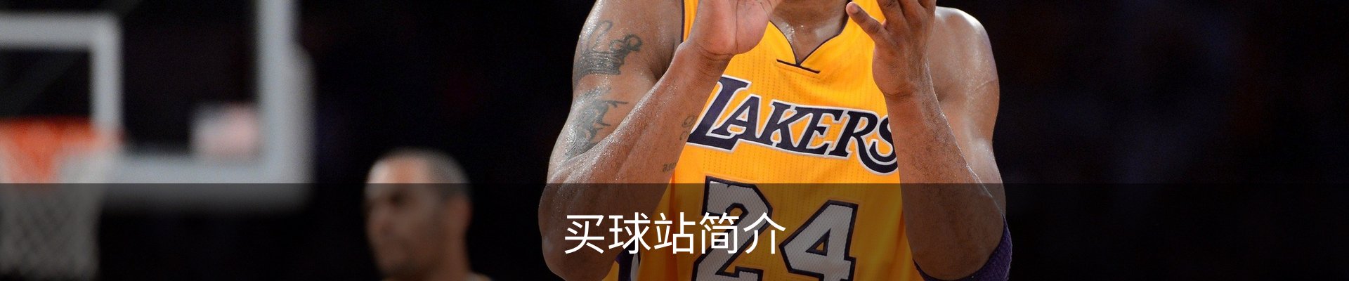 买球站简介